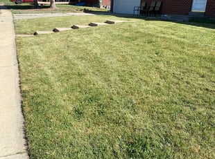 Cleanups by Dario Herrera for Kyndra G. in Denver, CO