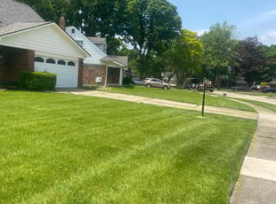 Rita W.'s Lawn Mowing service result