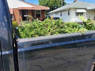 Bush Trimming by Richard Vonderau for Gregory M. in Parma, OH