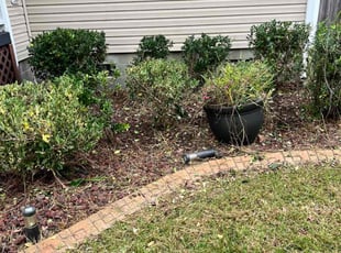 Weeding by Antonio Simmons for Montserrat I. in Chesapeake, VA