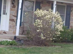 Jay O.'s Leaf Removal service result