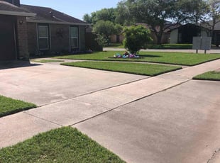 Mary N.'s Lawn Mowing service result