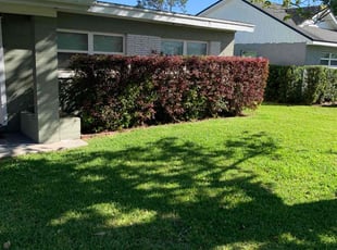 Sarah L.'s Lawn Care service result
