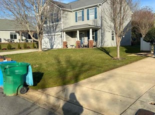 Natasha S.'s Yard Cutting service result