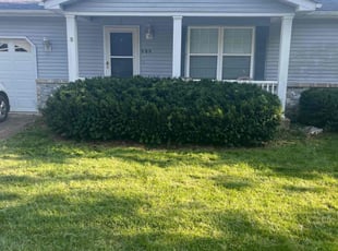 Bush Trimming by David Brown for Nicholas W. in Troy, MO