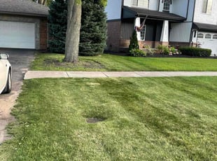 Dominic R.'s Lawn Service service result