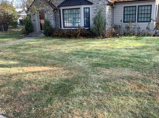 Leaf Removal by Carlos Sarinana for Dan P. in Falcon Heights, MN