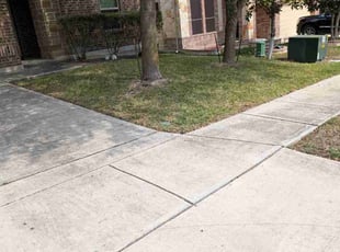 Leaf Removal by Valery Wahl for Latece S. in Cibolo, TX