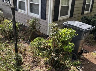 Bush Trimming by Ronald Lindsay for Kyle S. in Knoxville, TN