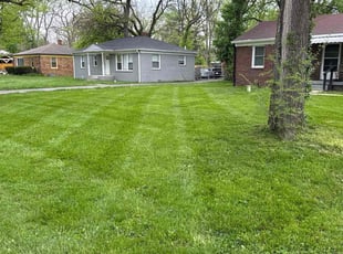 Rozella M.'s Lawn Mowing service result