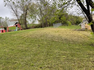 Christopher S.'s Leaf Removal service result