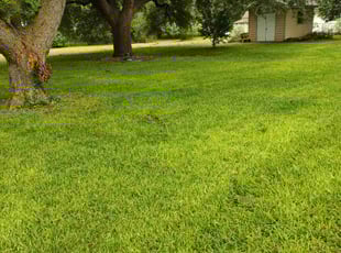 Mark S.'s Lawn Service service result