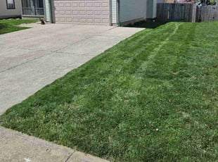 Ronald L.'s Yard Cutting service result