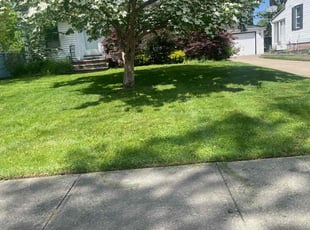 James W.'s Lawn Maintenance service result