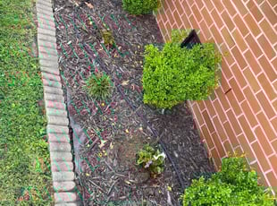 Weeding by Brandon Russell for Celeste N. in Portsmouth, VA