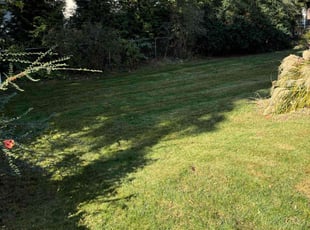Leaf Removal by Robert Elchuk for Ken L. in Birmingham, MI