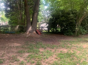 Leaf Removal by Chance Rosenberger for Nick S. in Charlotte, NC