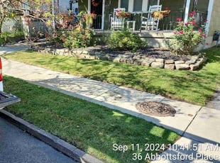 Michael G.'s Lawn Mowing service result