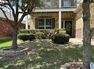 Robin T.'s Bush Trimming service result
