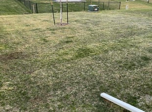 Crystal E.'s Lawn Mowing service result