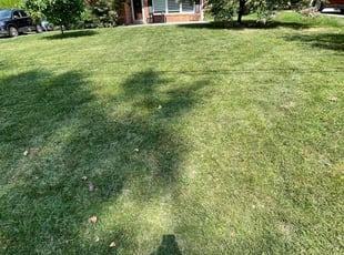 Heidi L.'s Lawn Care service result
