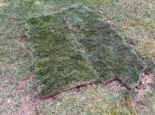 Landscaping by Brandon Weems for Angelo M. in Fort Washington, MD