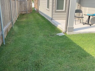 Michael W.'s Lawn Care service result