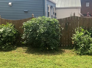 Bush Trimming by Recardo Hunter for Joseph M. in Richmond, VA