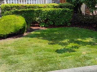 Becki R.'s Lawn Mowing Service service result