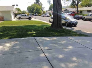 Dan H.'s Lawn Service service result