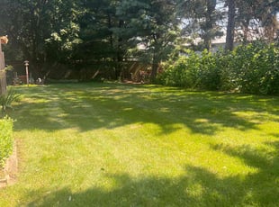 Dave W.'s Lawn Mowing service result