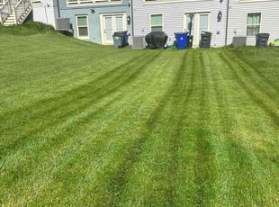 Matthew A.'s Lawn Mowing service result