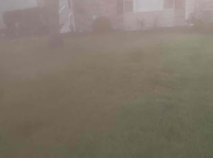 Leaf Removal by Dezhan Foster for Becky C. in Frankfort, IL