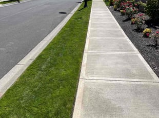 Joy Elizabeth G.'s Lawn Mowing service result
