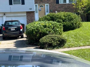 Bush Trimming by Victor Edwards for LaVenia S. in Cincinnati, OH