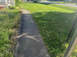 Kenneth L.'s Lawn Care service result
