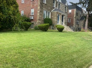 Cynthia G.'s Lawn Mowing service result