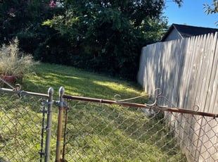 Cleanups by Alesandre Duarte for Shay C. in Fairfax, VA