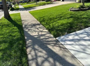 Ali R.'s Lawn Mowing service result