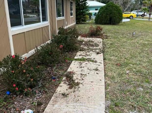 Bush Trimming by Jr Valle for Jackson P. in Palm Coast, FL