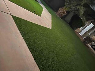 Leaf Removal by Eliu Hernandez for Chenshiang L. in Queen Creek, AZ