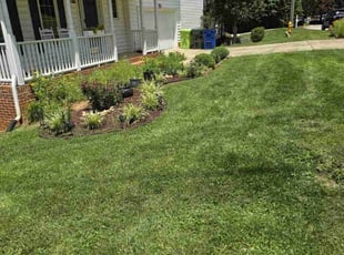 Nancy I.'s Grass Cutting service result