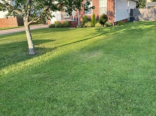 William B.'s Grass Cutting service result