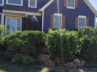 Bush Trimming by Lance Reynolds for Sadaf Z. in Kansas City, MO