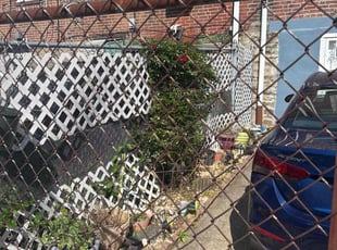 Bush Trimming by Darrell Millner for Henrietta R. O. in Philadelphia, PA