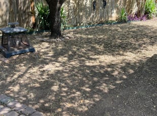 Lauren M.'s Leaf Removal service result