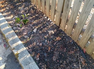 Weeding by Timothy Rushing for Devin P. in Greensboro, NC