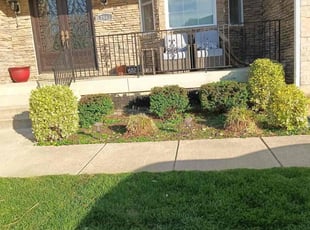 Bush Trimming by Carlos Portillo for Taha A. in Springfield, VA