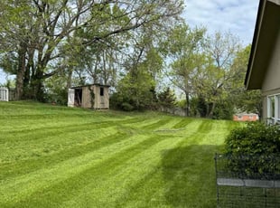 Jason P.'s Lawn Mowing service result