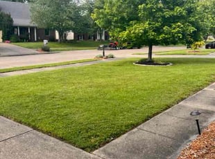 Chelsea M.'s Lawn Mowing service result